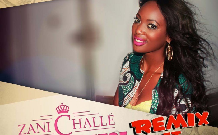 Zani Challe Releases Ndiphunzitse Remix Featuring Nepman